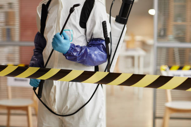 Professional Hoarding Cleanup technician working in Hope, IN